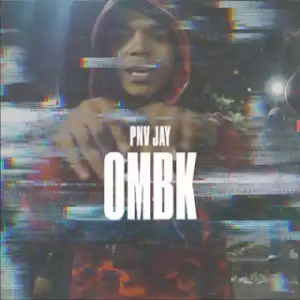 Instrumental: PNV Jay - OMBK (Produced By AXL BEATS)